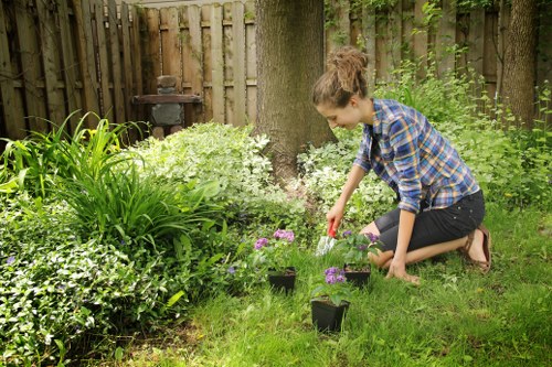 Landscaping team planting native shrubs in a Docklands courtyard