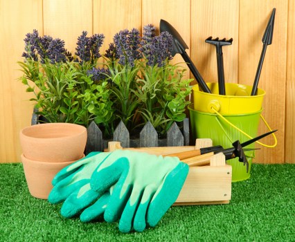 The image depicts a neatly arranged outdoor gardening scene with a backdrop of a wooden fence. In the foreground, there is a vibrant green artificial grass surface. To the left, three small terracotta pots are stacked, ready for planting. In front of the pots, a pair of bright teal gardening gloves rests atop a wooden tool tray. The tray contains a garden hand trowel and a cultivator, both with wooden handles and metal heads. Behind these, a large yellow plastic bucket holds an assortment of long-handled garden tools including a hand rake, pruning shears, and a small hand saw. To the left of the bucket, rows of lavender plants with purple flowers and fresh green foliage are potted in grey containers, indicating early blooming. The overall scene suggests preparation for gardening or lawn care activities, with an emphasis on ground-level plant care and outdoor maintenance typical of a residential garden in the Docklands area. This detailed arrangement highlights typical gardening tools, plant elements, and outdoor workspace setup, aligning with gardening services provided by Lawn Mowing Docklands in the local area.