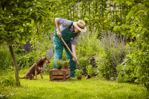 A person wearing a wide-brimmed straw hat, blue overalls, and a checkered shirt is tending to a lush garden with a small wooden planter box filled with plants, positioned on a grassy lawn. The garden features a variety of green foliage, including dense shrubs and flowering plants with purple blossoms, arranged along a natural border. A small brown dog is sitting nearby on the well-maintained, vibrant green lawn, which shows signs of recent mowing. The background includes leafy trees and a natural outdoor environment, suggesting a back garden or landscaped outdoor space. The scene is illuminated by natural daylight, with soft sunlight filtering through the tree canopy, creating a peaceful and inviting outdoor setting suitable for gardening and lawn care activities often provided by local gardening services in Docklands.